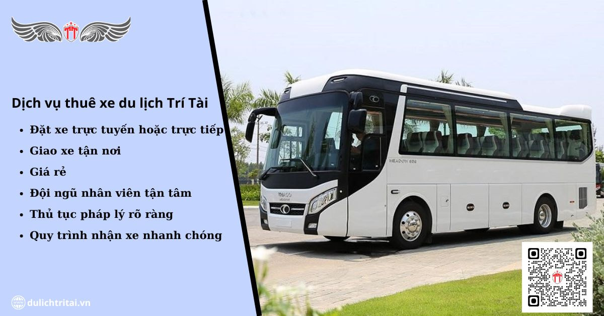 Bạn nên lựa chọn dịch vụ thuê xe Bình Thạnh của du lịch Trí Tài