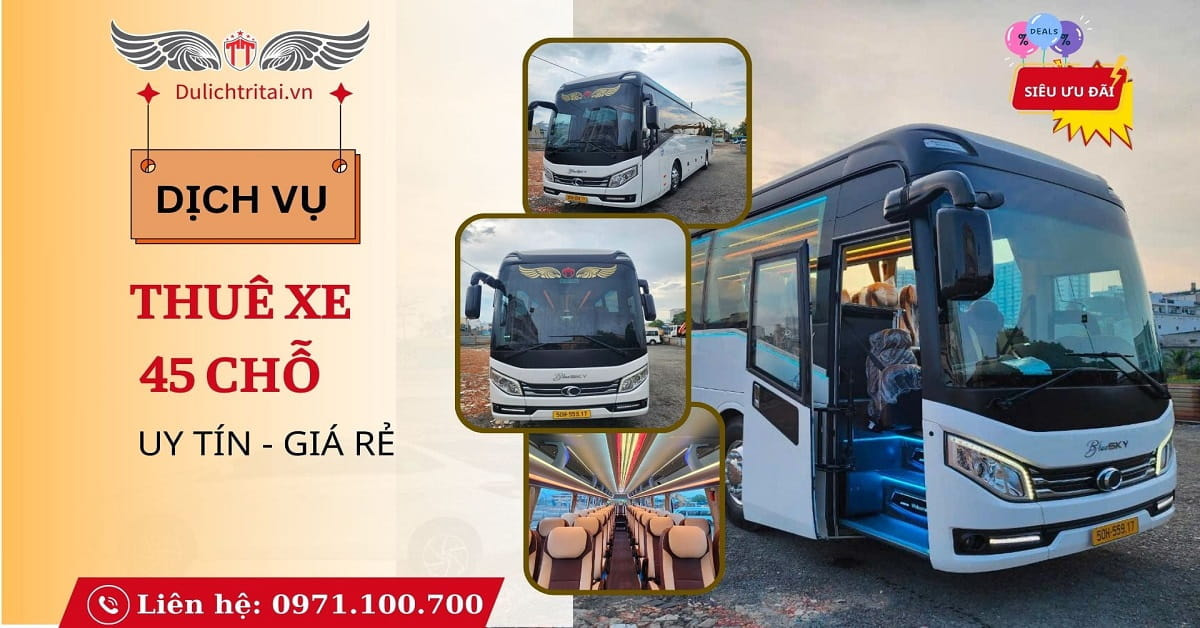 Thuê xe 45 chỗ Trí Tài