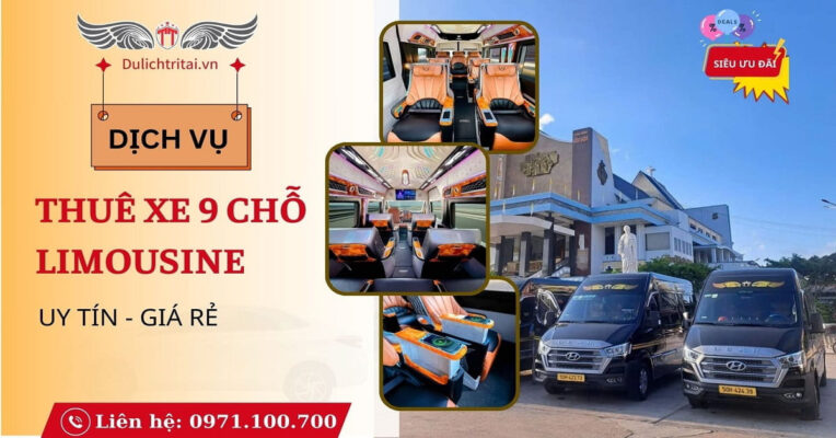 loai-xe-9-cho