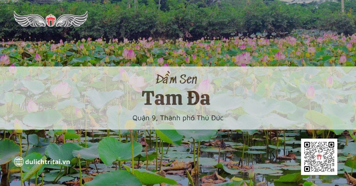 Thuê xe tự lái Thủ Đức - Quận 9