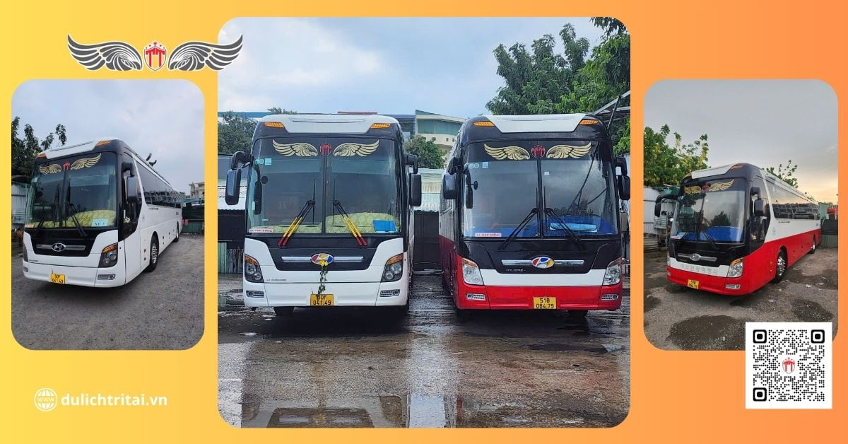 Du lịch Trí Tài cho thuê xe 45 chỗ ở tp hcm 3 ngày 2 đêm giá rẻ