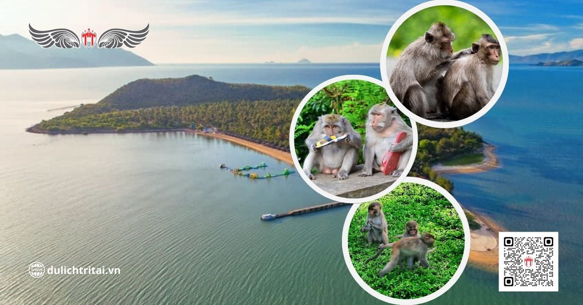 Trải nghiệm dịch vụ thuê xe 9 chỗ limousine cao cấp đi đảo Khỉ Nha Trang