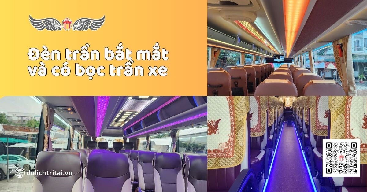 Trải nghiệm thuê xe 45 chỗ 2 ngày 1 đêm sang trọng với hệ thống đèn trần bắt mắt và đẹp
