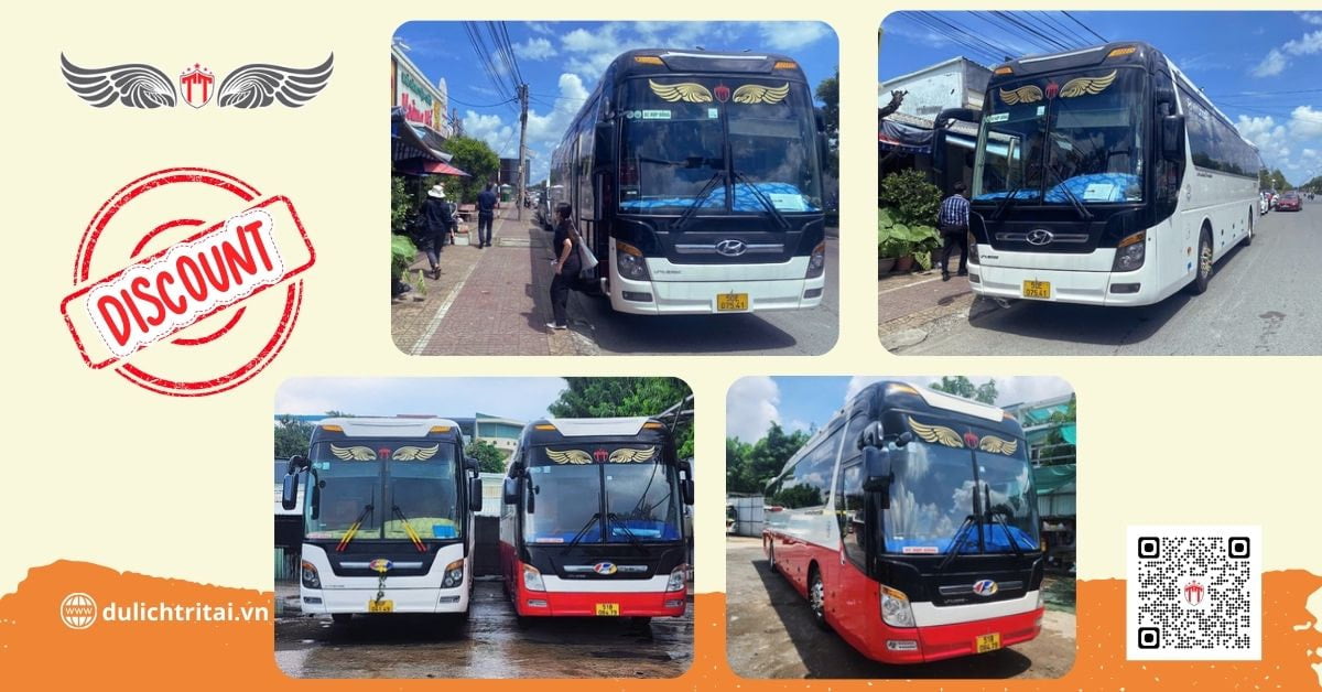 Thuê xe 45 chỗ đưa đón học sinh sinh viên tại TPHCM